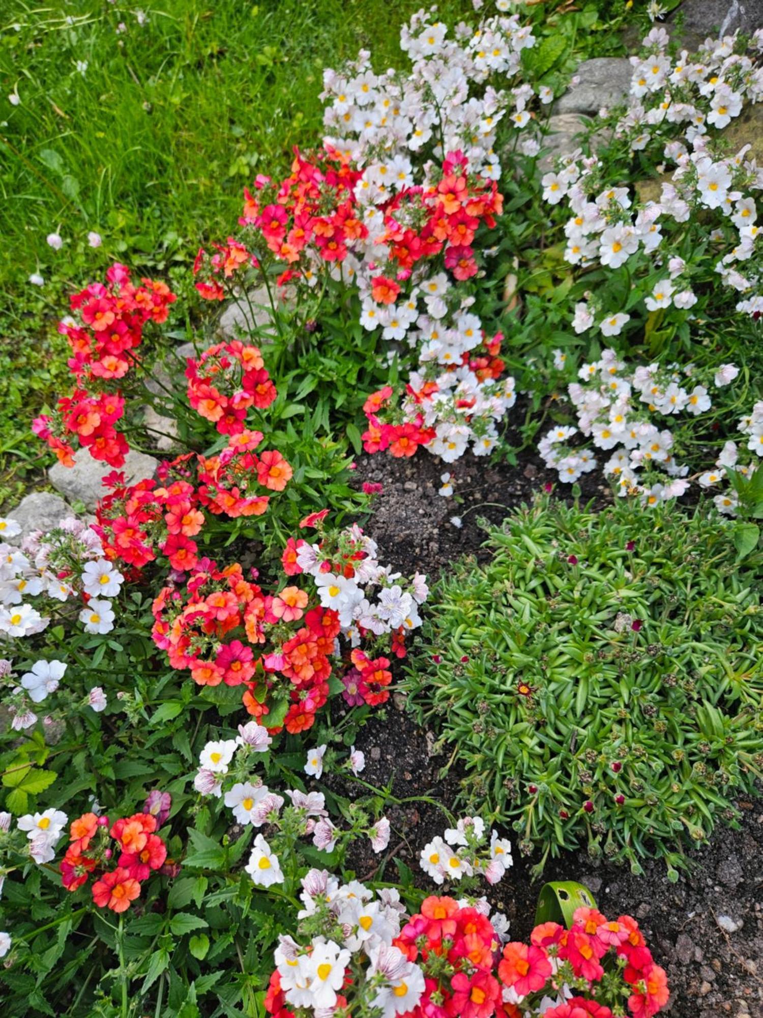 Gardainn Giardino 38A Riva del Garda Esterno foto